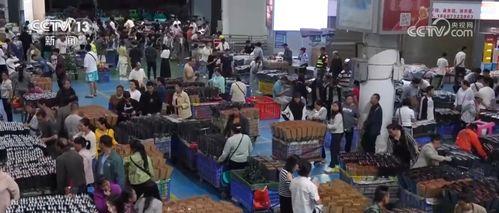 宿迁游客爆料新闻最新,揭秘宿迁旅游新亮点，体验非凡之旅  第3张